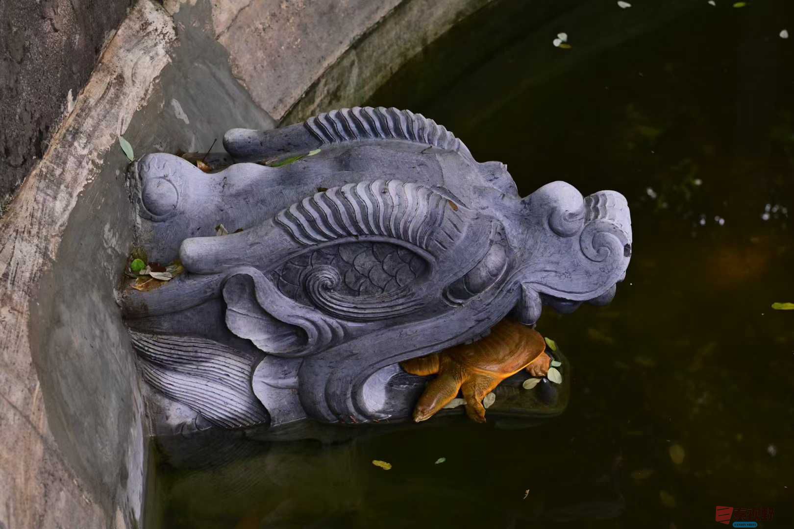 张高翔_2025-10-22_105444_527 (8).jpg