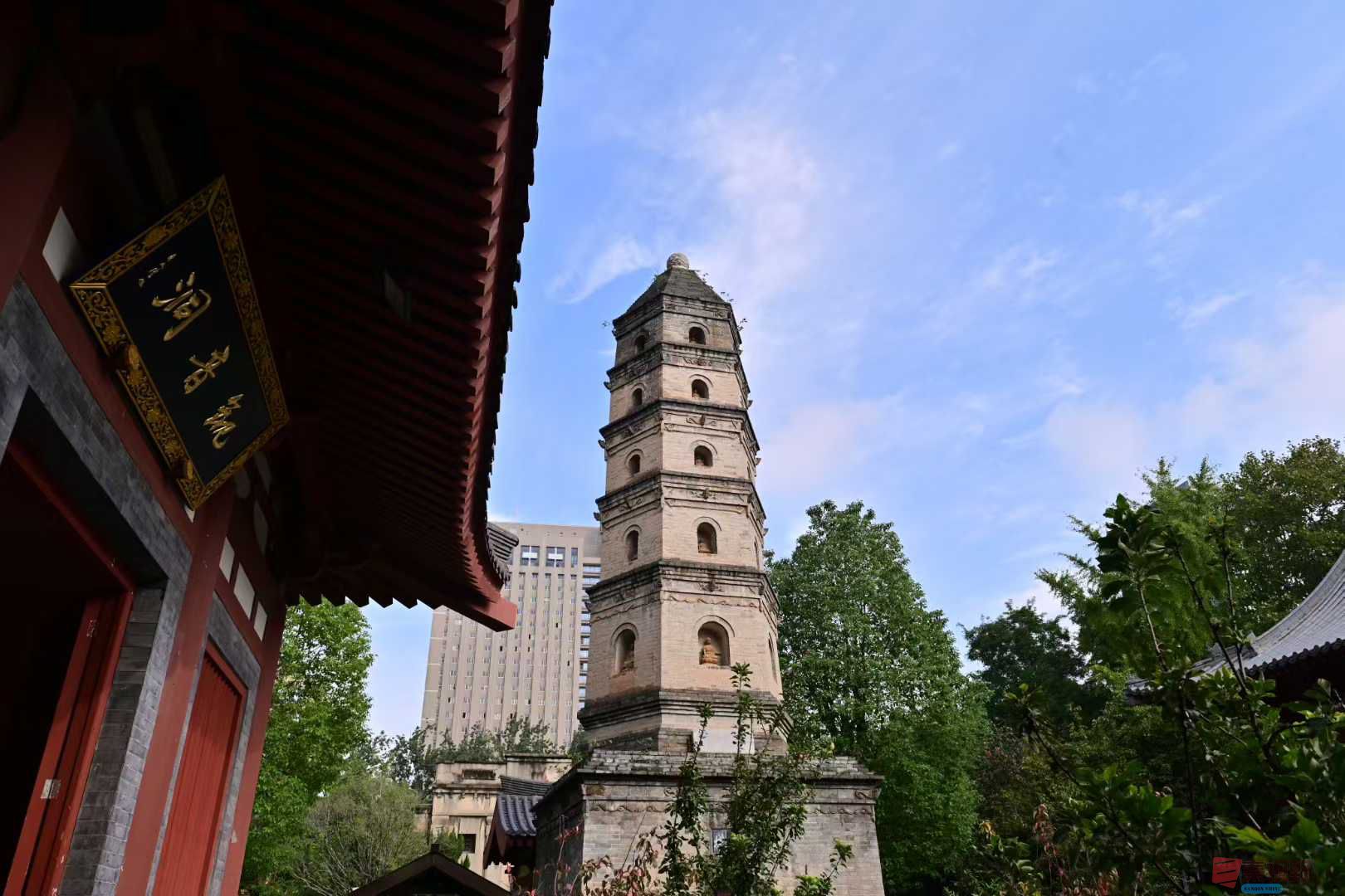 张高翔_2025-10-22_105444_527 (9).jpg