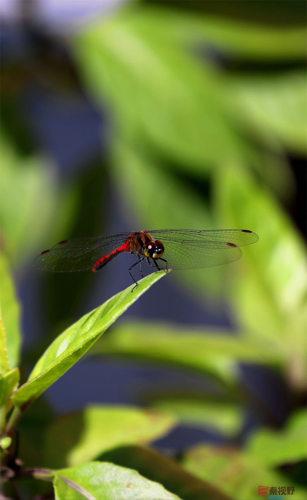 寇群利压缩_20251012224328_59_704 (12).jpg