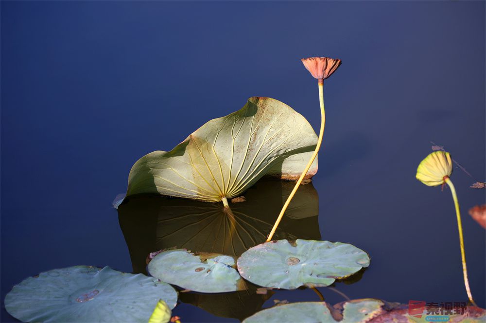 寇群利压缩_20251012224328_59_704 (13).jpg