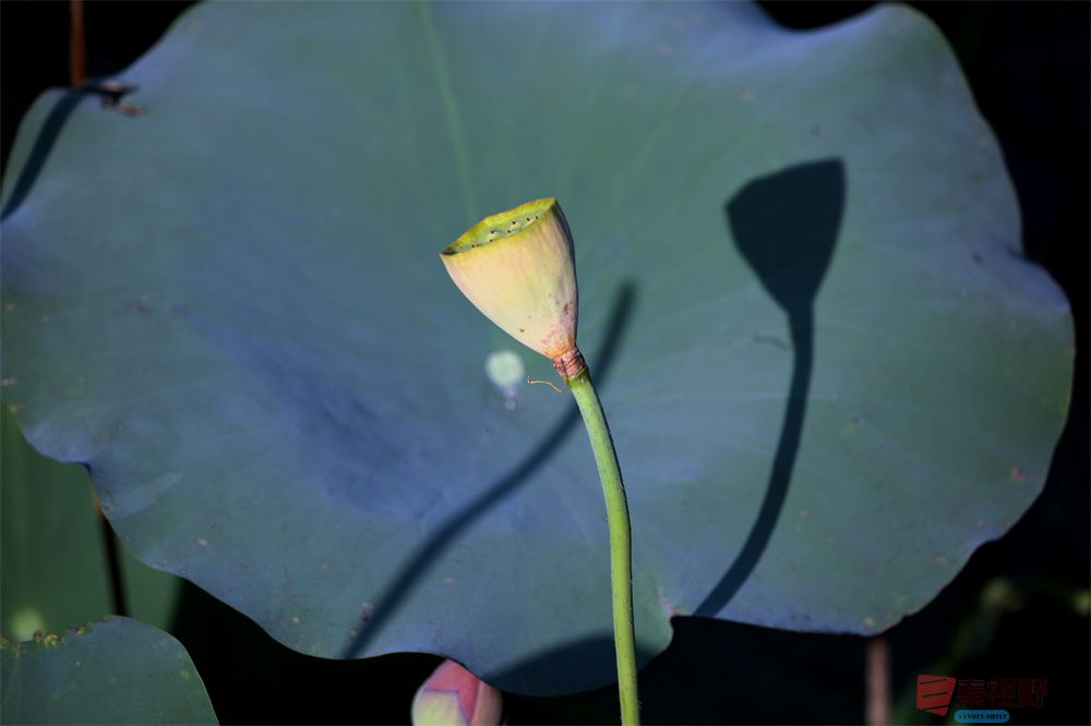 寇群利压缩_20251012224328_59_704 (18).jpg