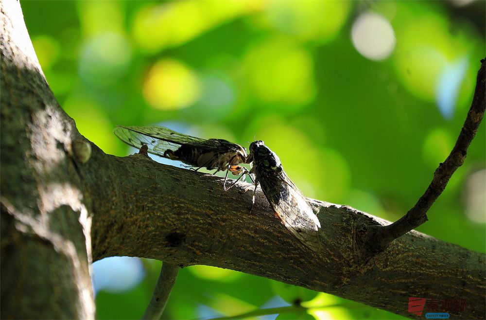 寇群利压缩_20251012224328_59_704 (16).jpg