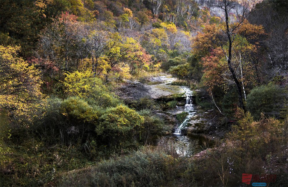 <strong>秋韵【摄影肖宝清】</strong>