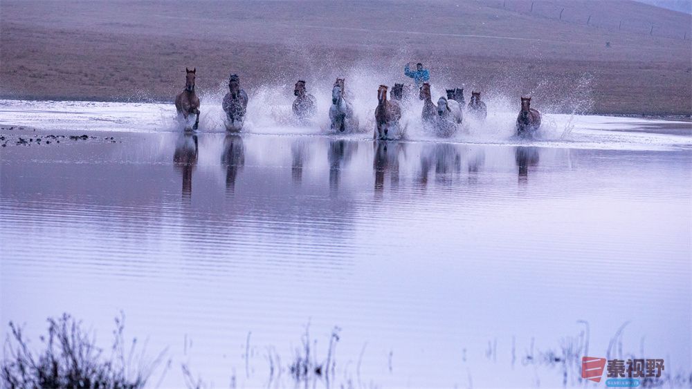 张宝光压缩_20251023190320_2385_463 (1).jpg