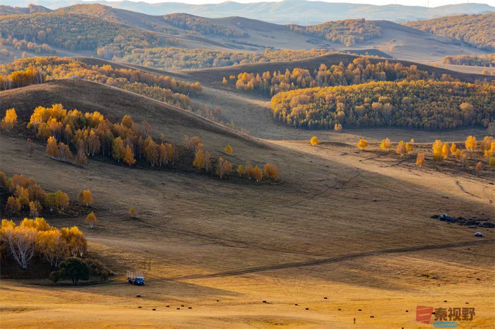 张宝光压缩_20251023190320_2385_463 (2).jpg