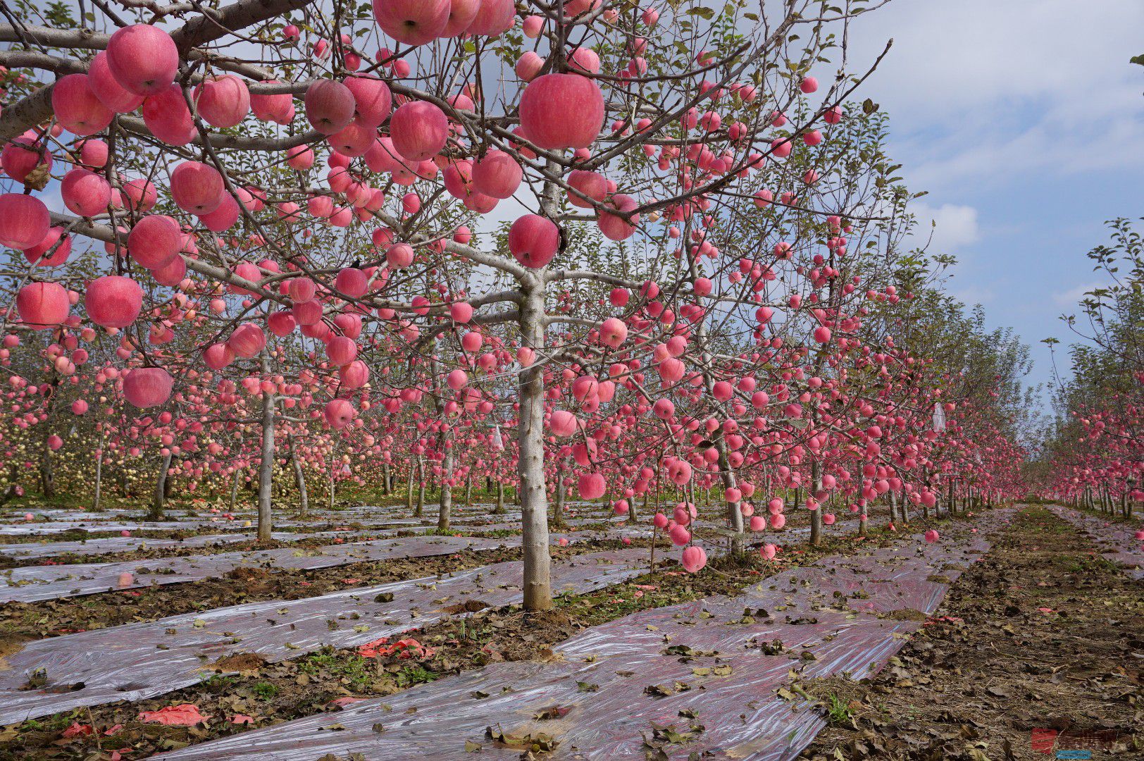 孙宏伟_20251024094401_49_469 (3).jpg