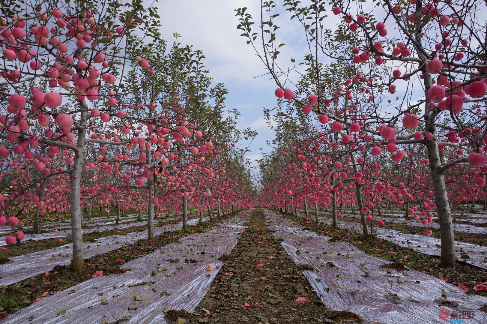 孙宏伟_20251024094401_49_469 (6).jpg