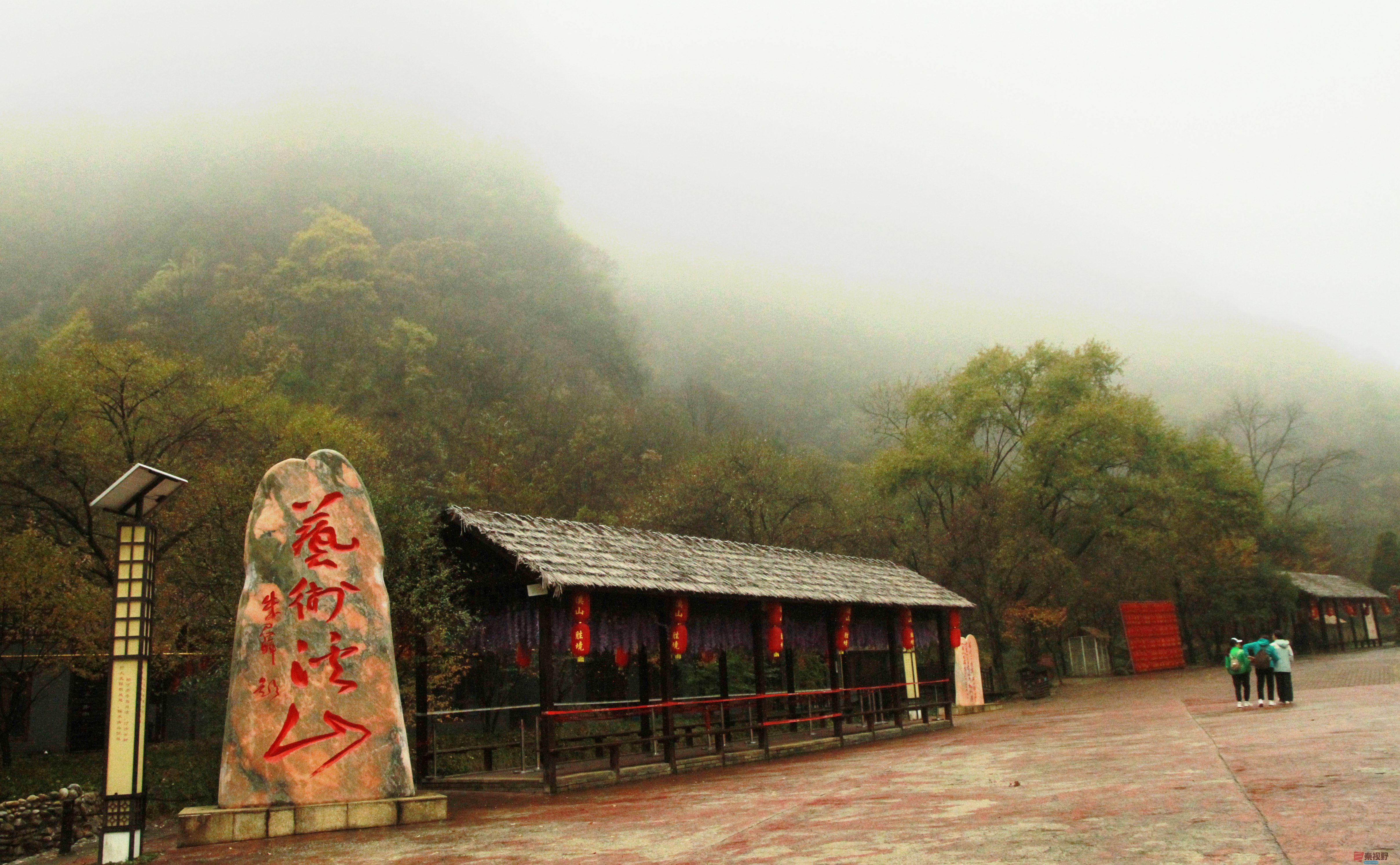 伍卸凤_20251023141409_1305_370 (9).jpg