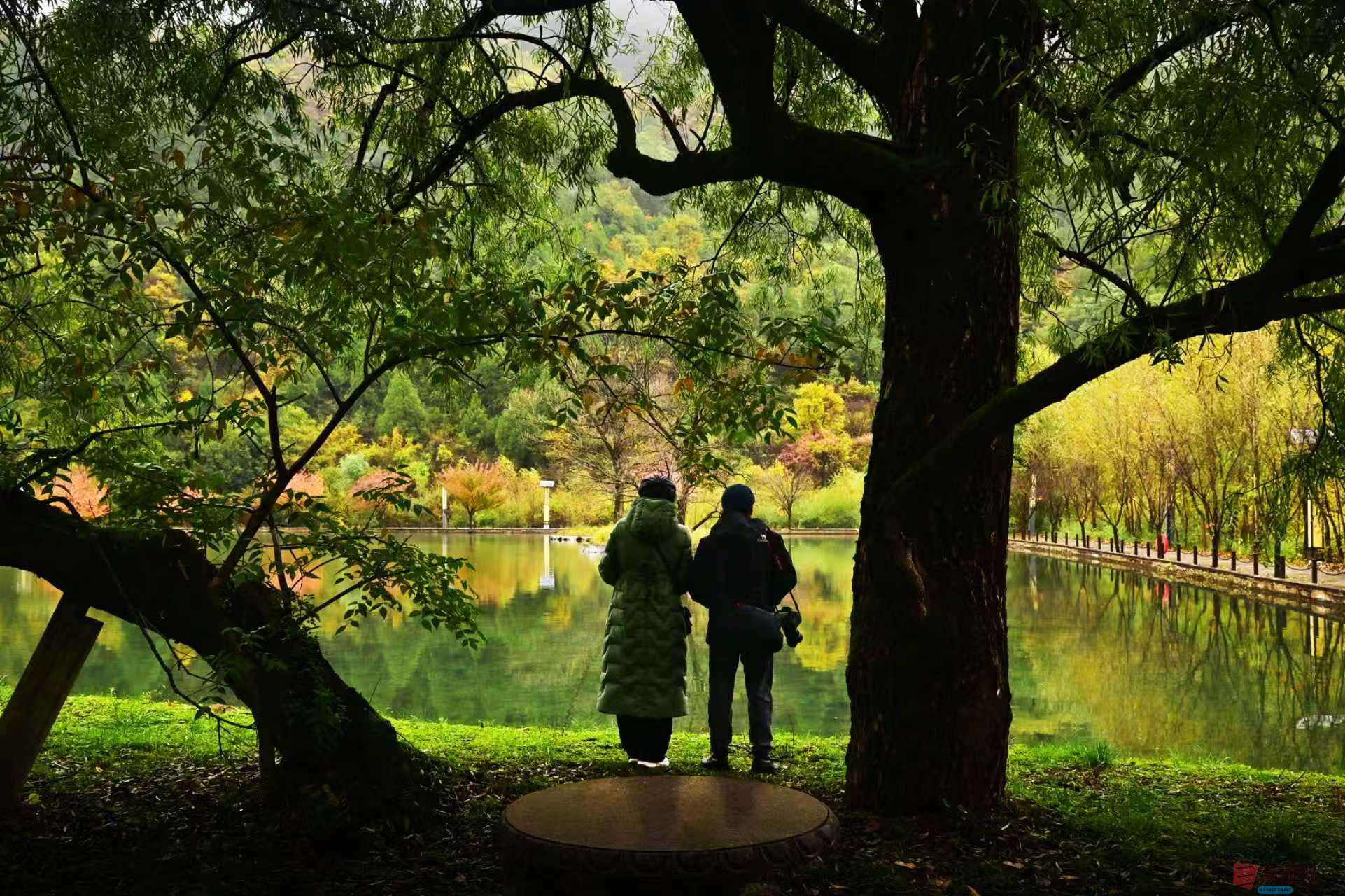 肖宝清_20251022163253_1252_370 (8).jpg