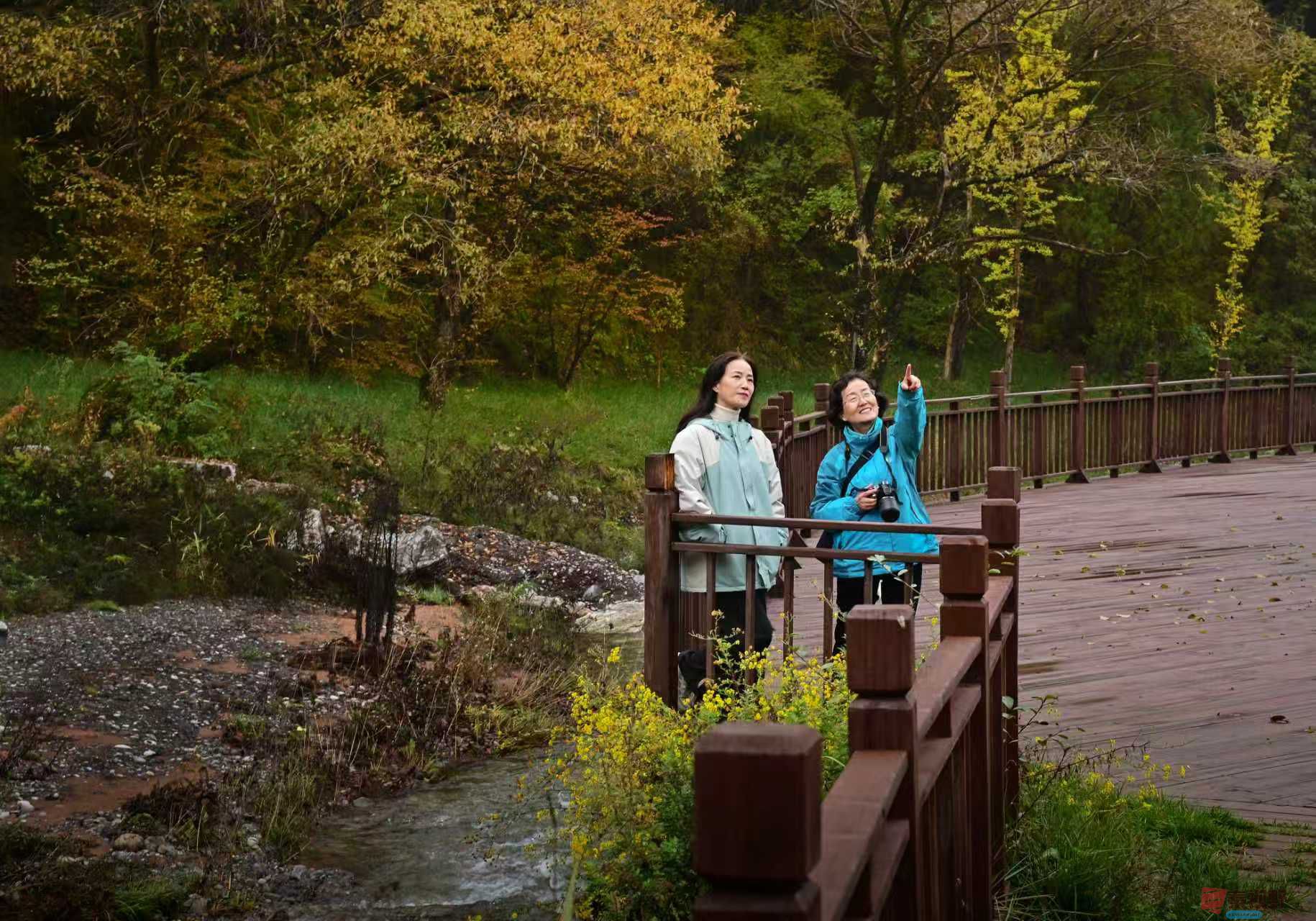 肖宝清_20251022163253_1252_370 (13).jpg