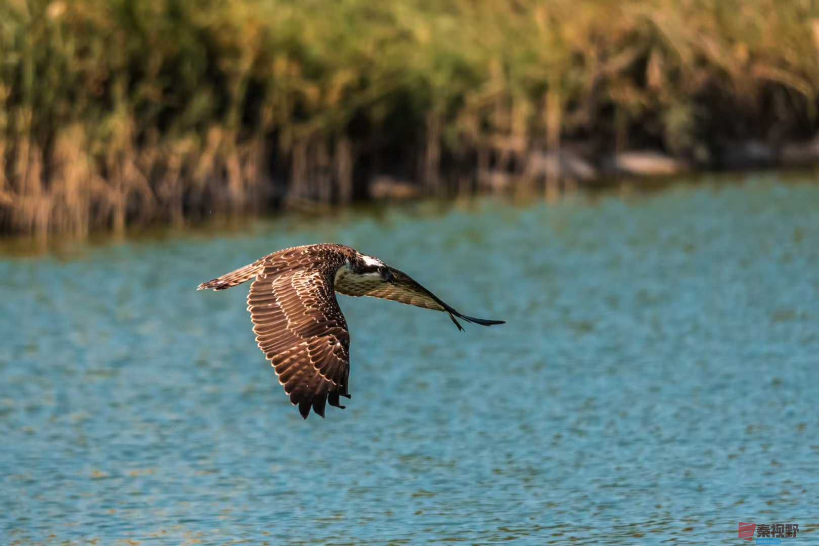 袁小保_2025-10-25_205347_971 (7).jpg