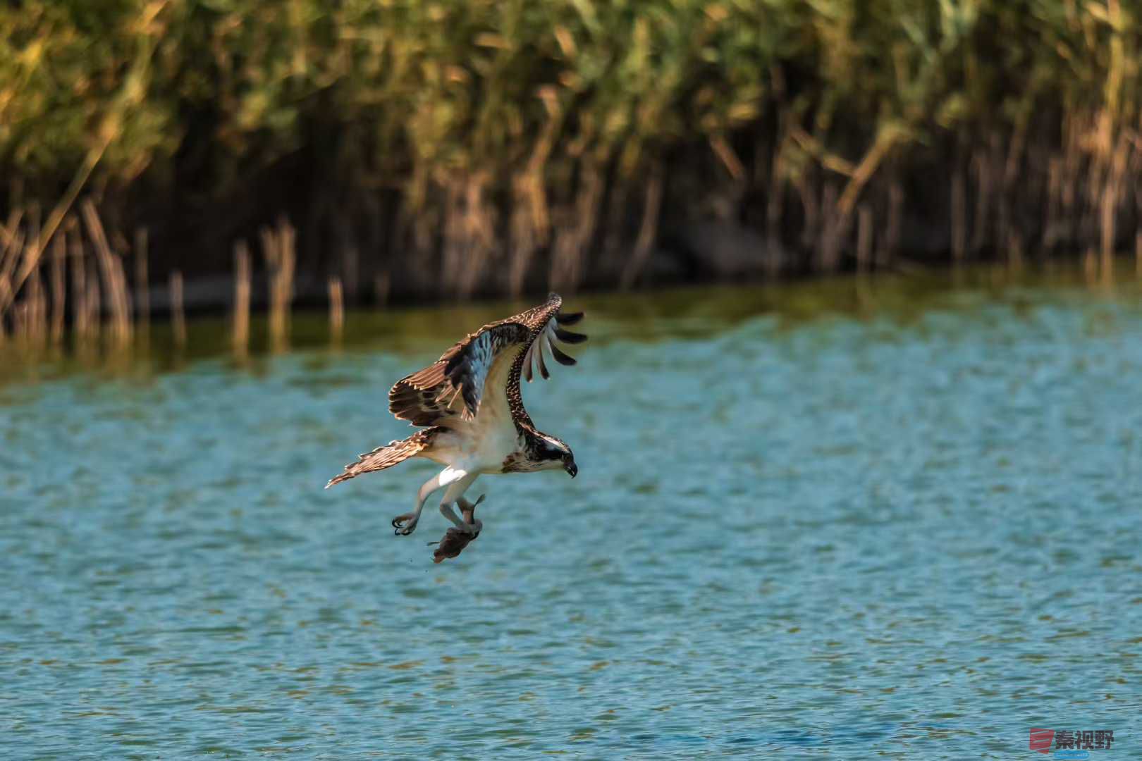 袁小保_2025-10-25_205347_971 (2).jpg