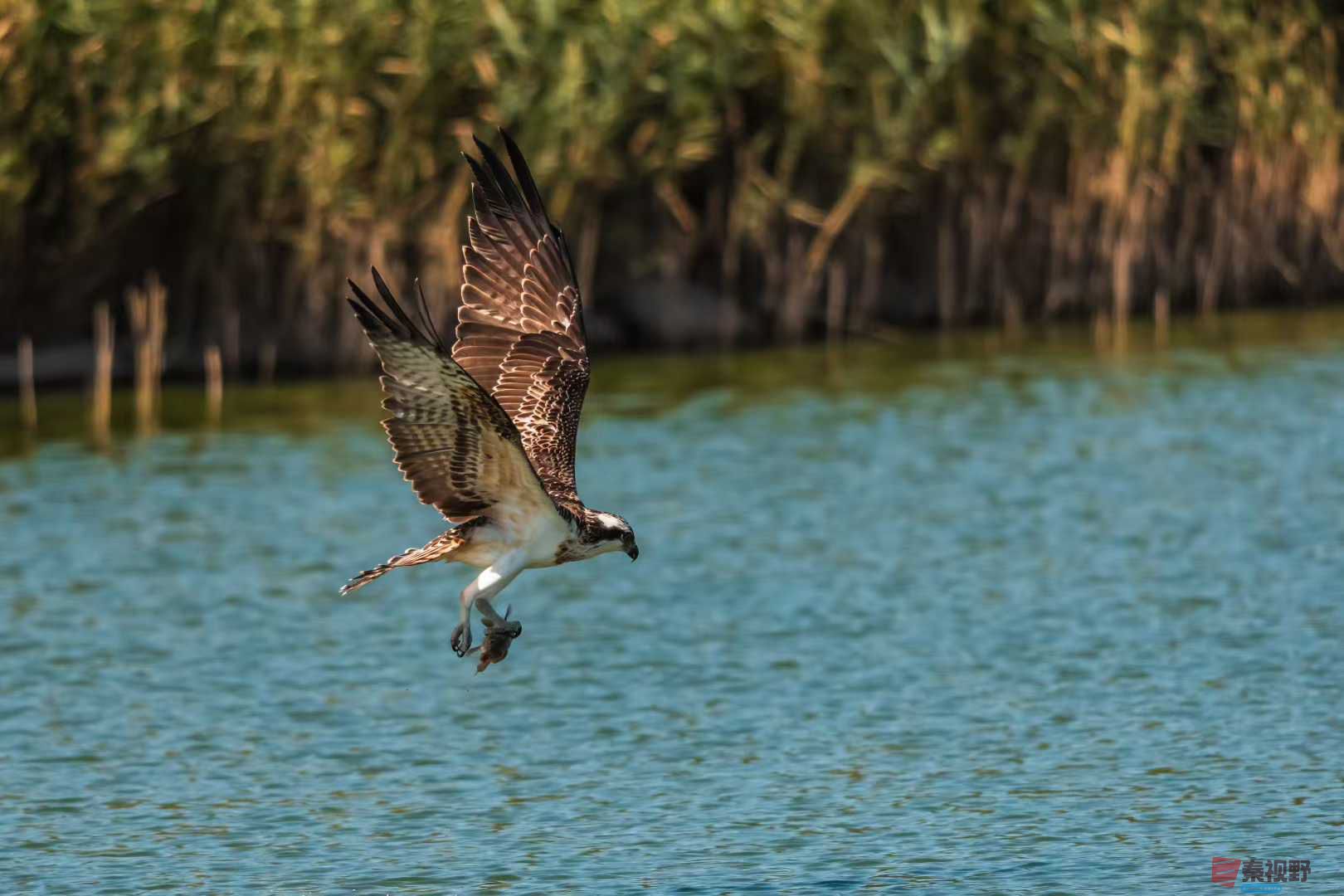 袁小保_2025-10-25_205347_971 (3).jpg