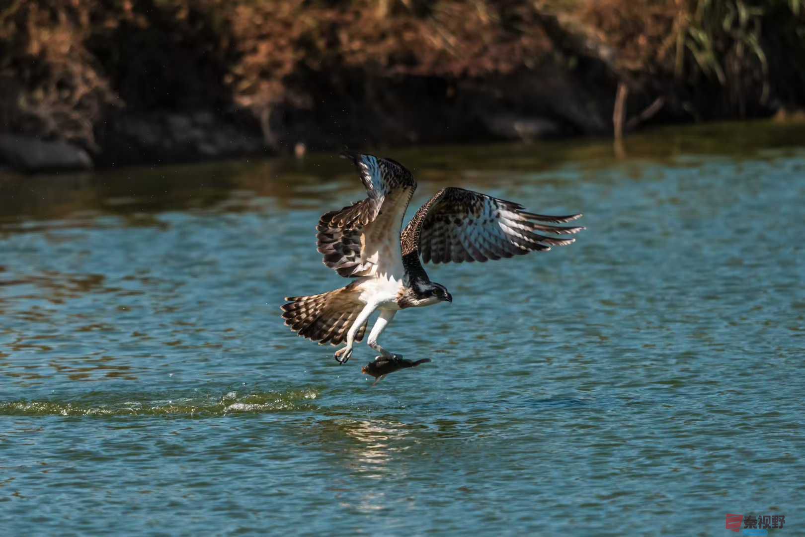 袁小保_2025-10-25_205505_141 (2).jpg