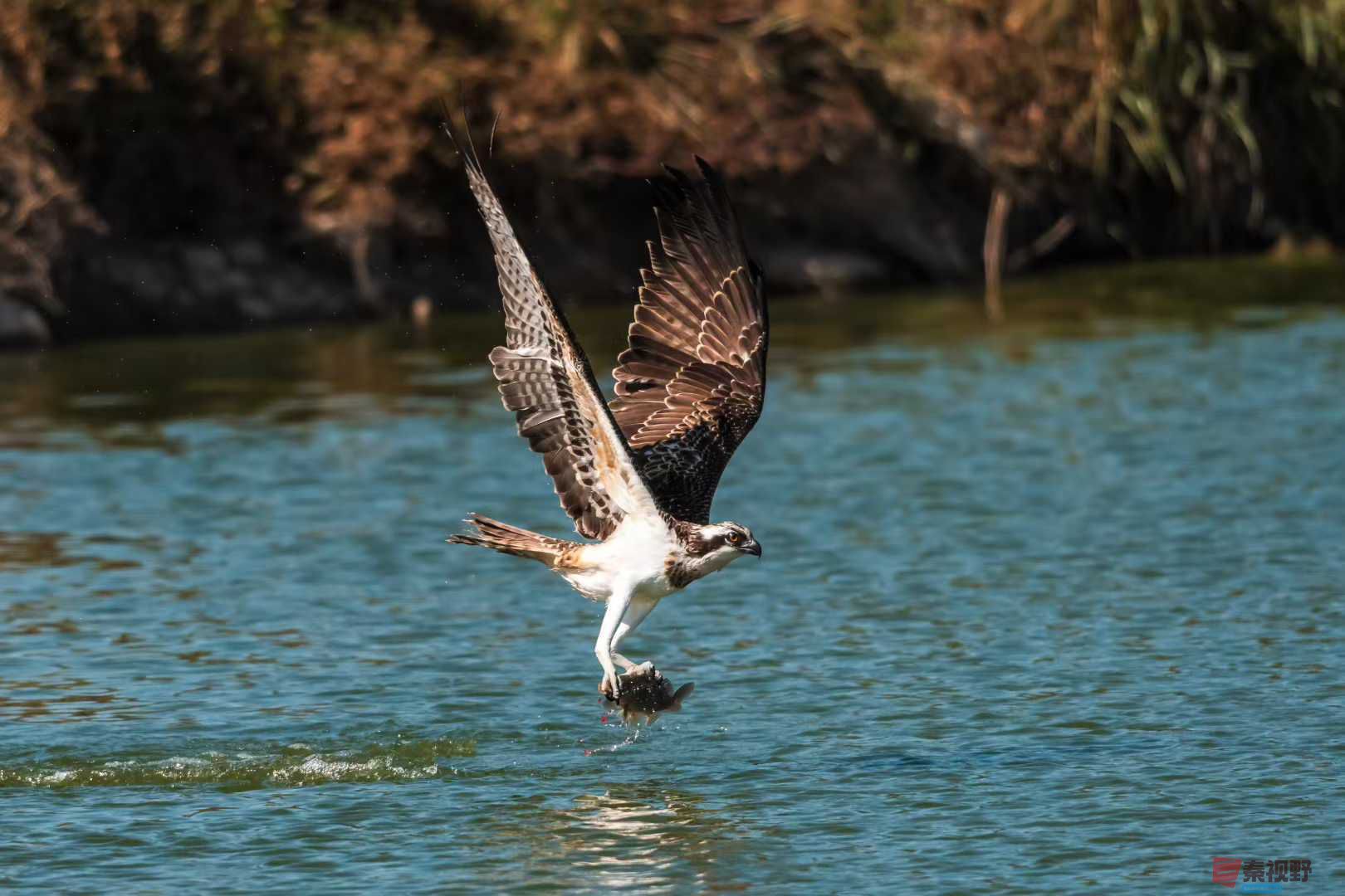 袁小保_2025-10-25_205505_141 (3).jpg