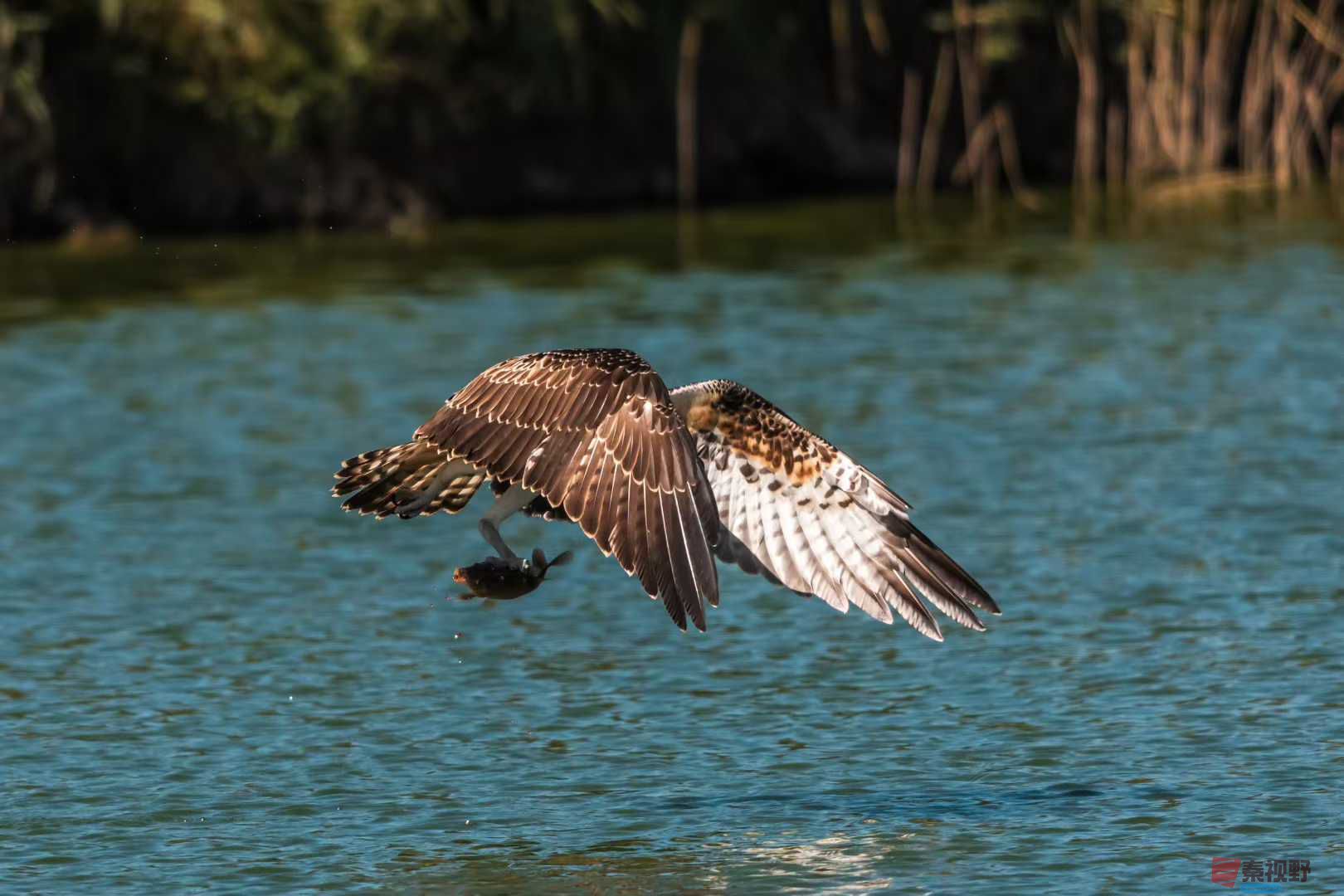 袁小保_2025-10-25_205505_141 (7).jpg