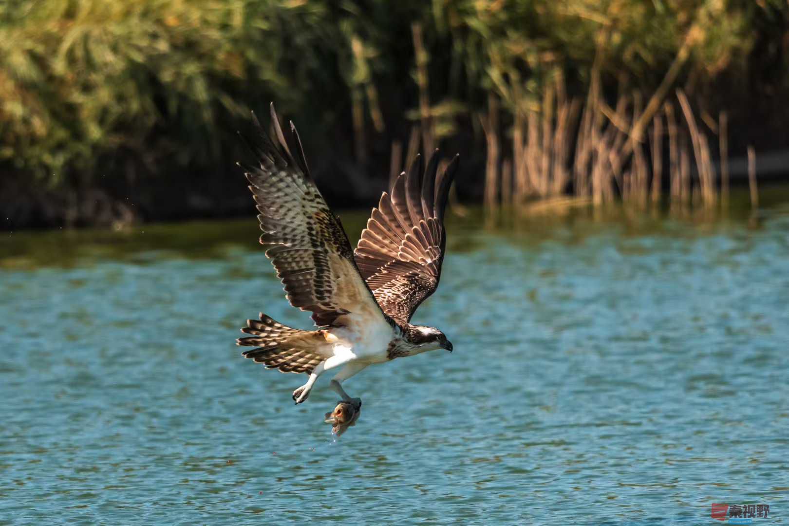 袁小保_2025-10-25_205505_141 (8).jpg