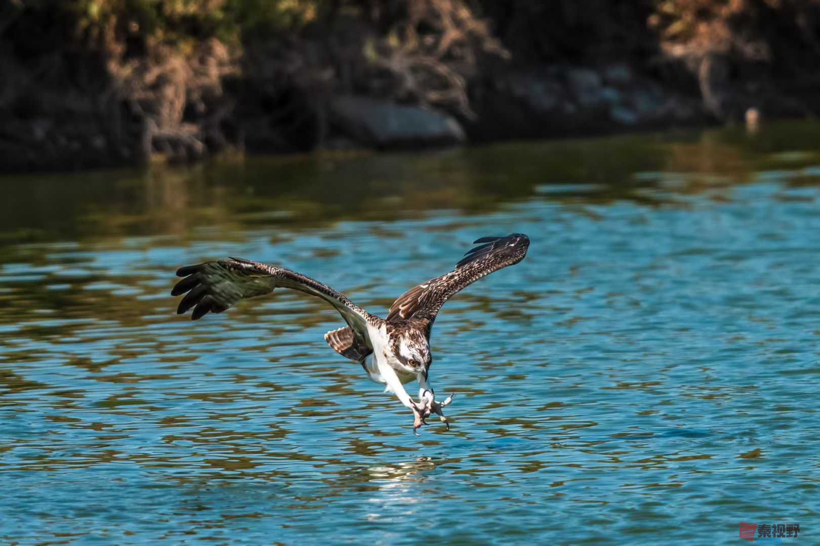 袁小保2025-10-25_205915_927 (2).jpg