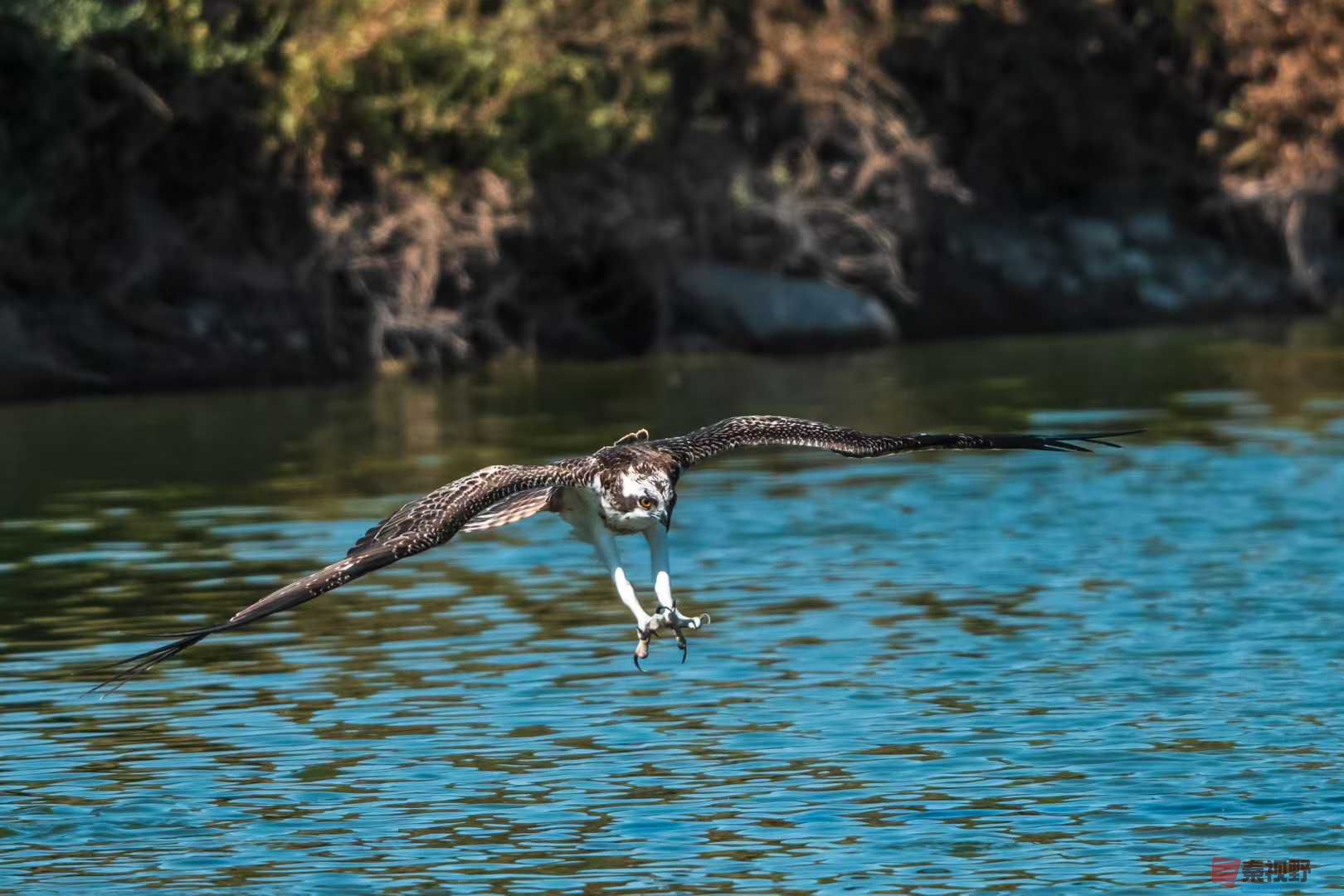 袁小保2025-10-25_205915_927 (1).jpg