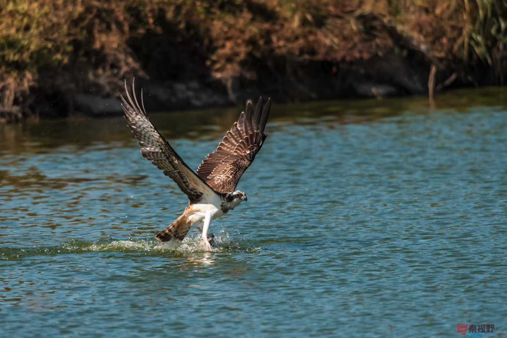 袁小保2025-10-25_205915_927 (6).jpg