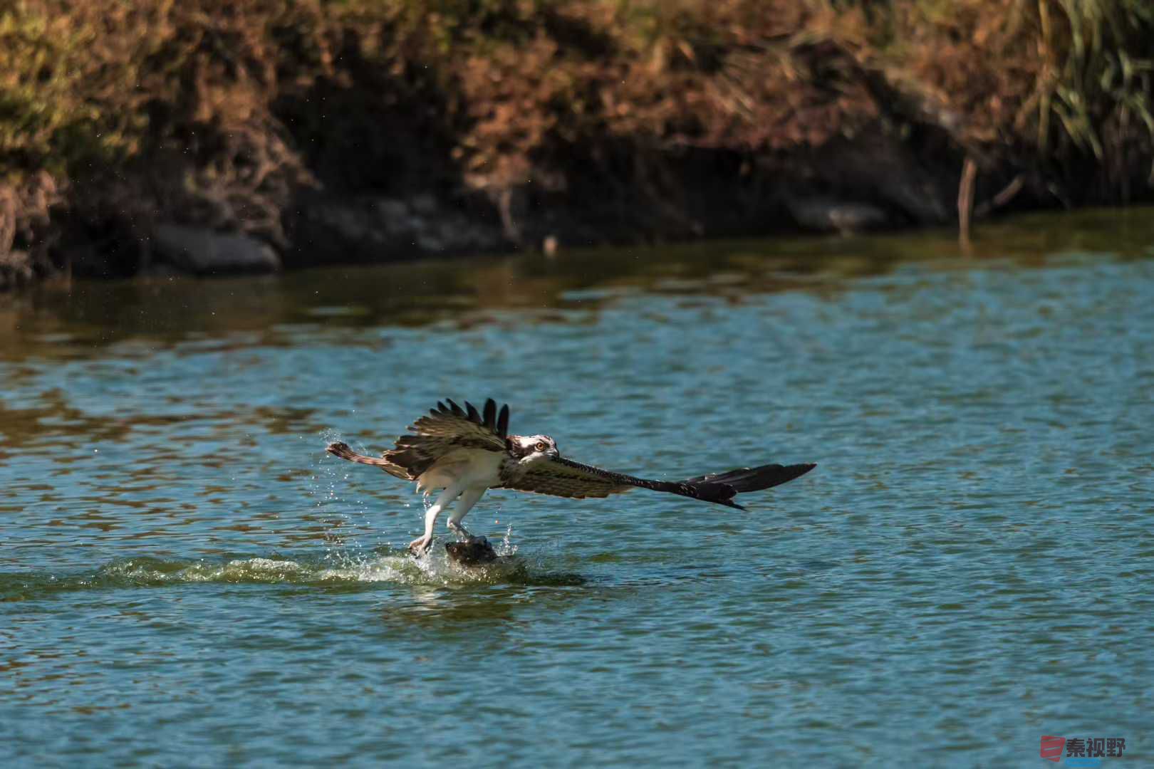 袁小保2025-10-25_205915_927 (7).jpg