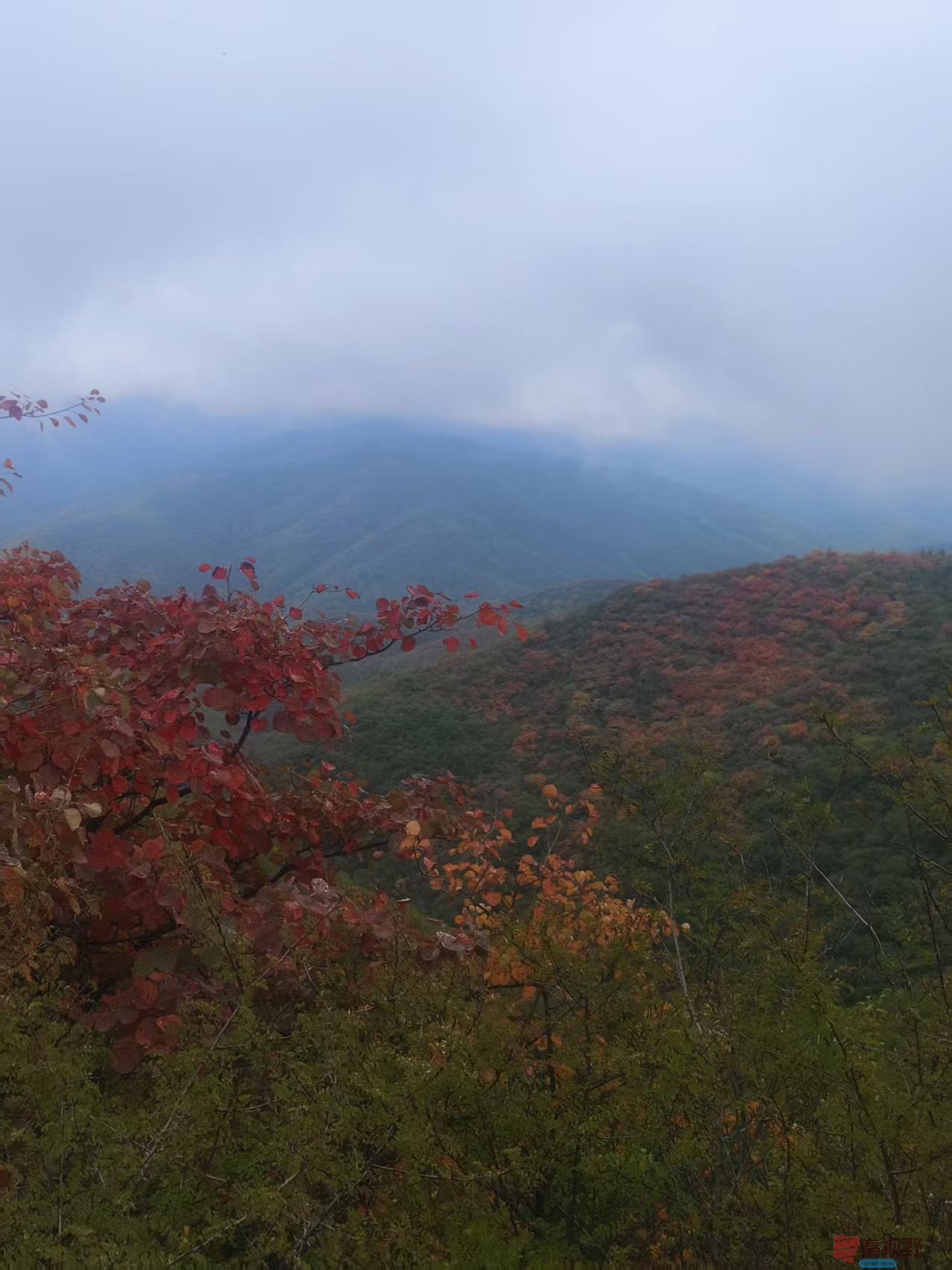 秦璇_20251015183244_4_1502 (1).jpg