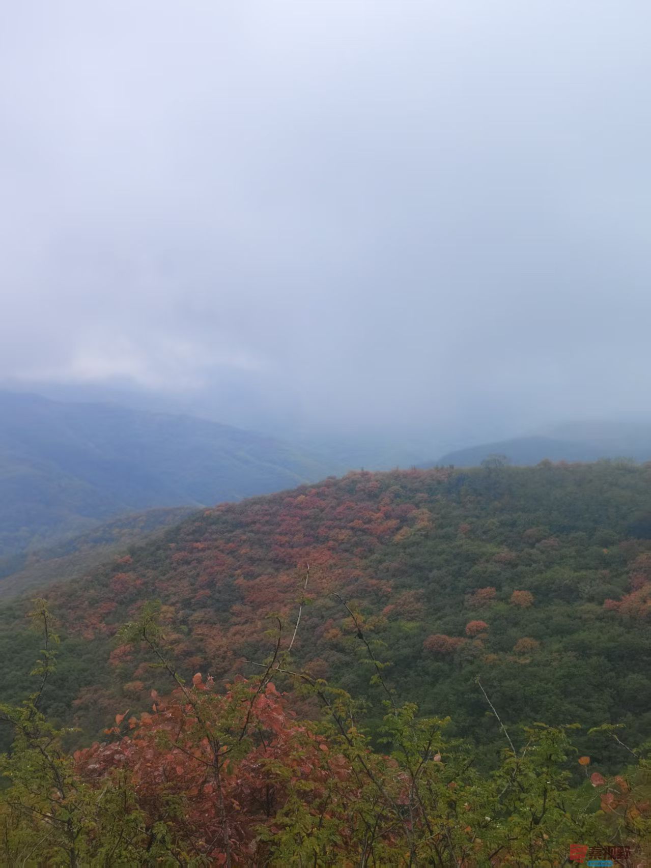 秦璇_20251015183244_4_1502 (4).jpg