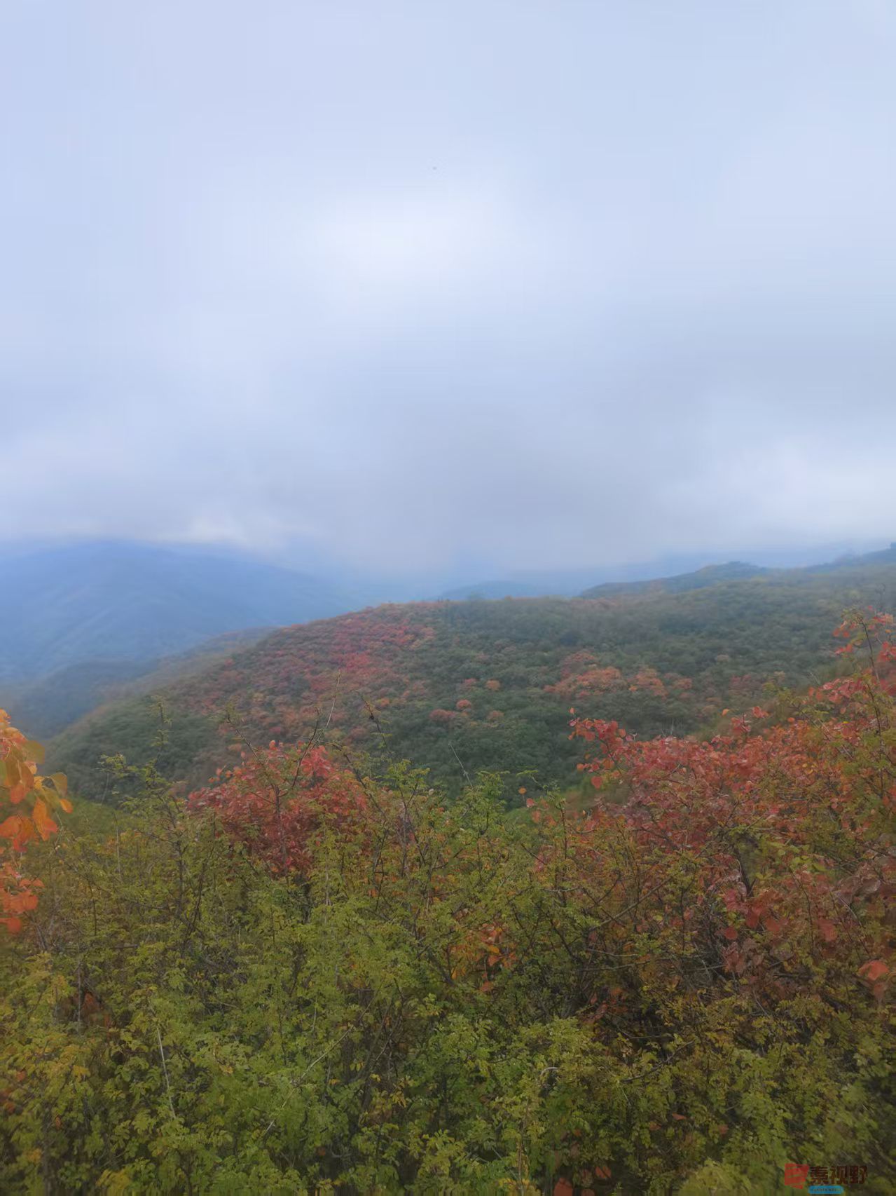 秦璇_20251015183244_4_1502 (3).jpg