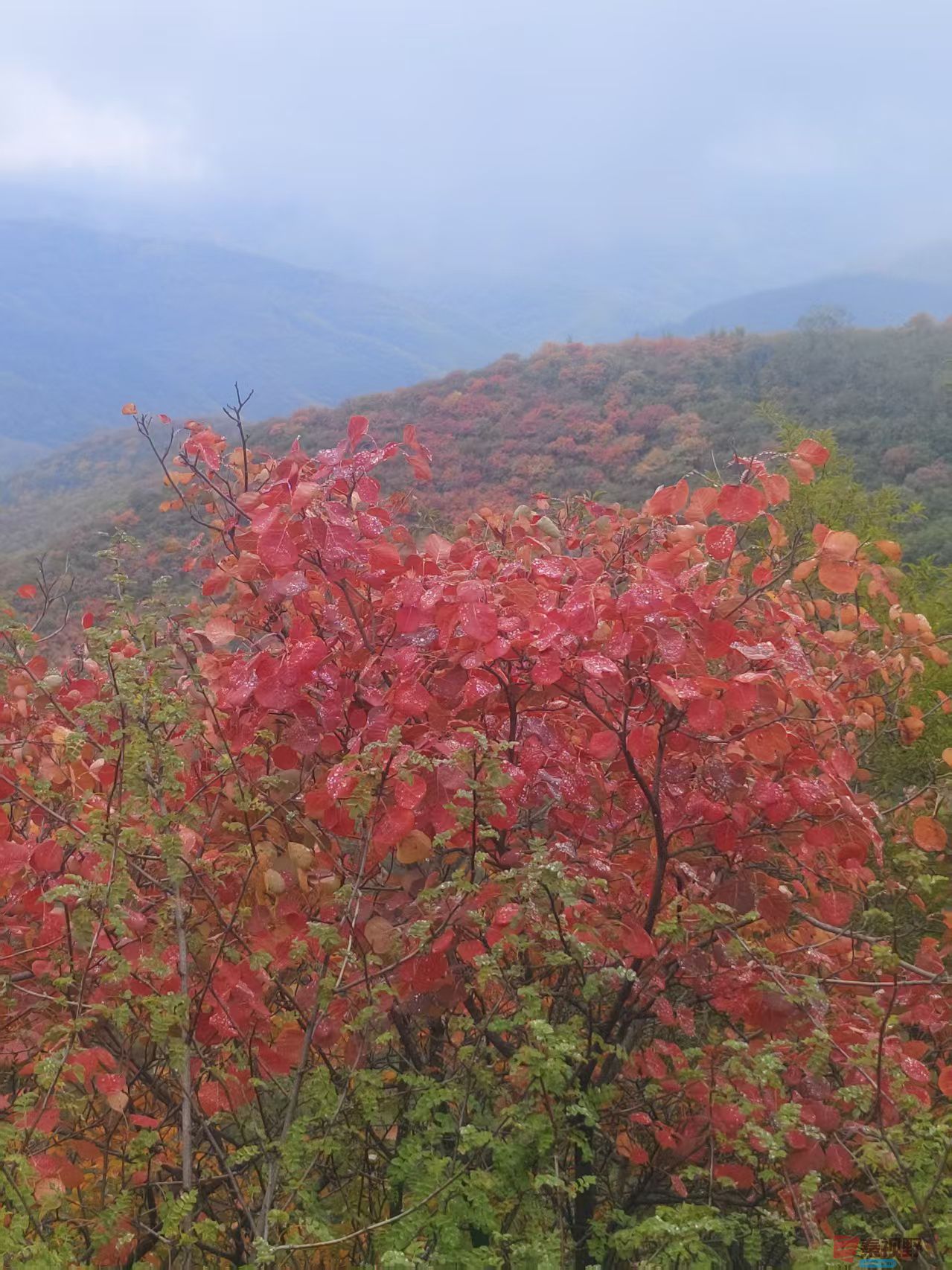 秦璇_20251015183244_4_1502 (5).jpg