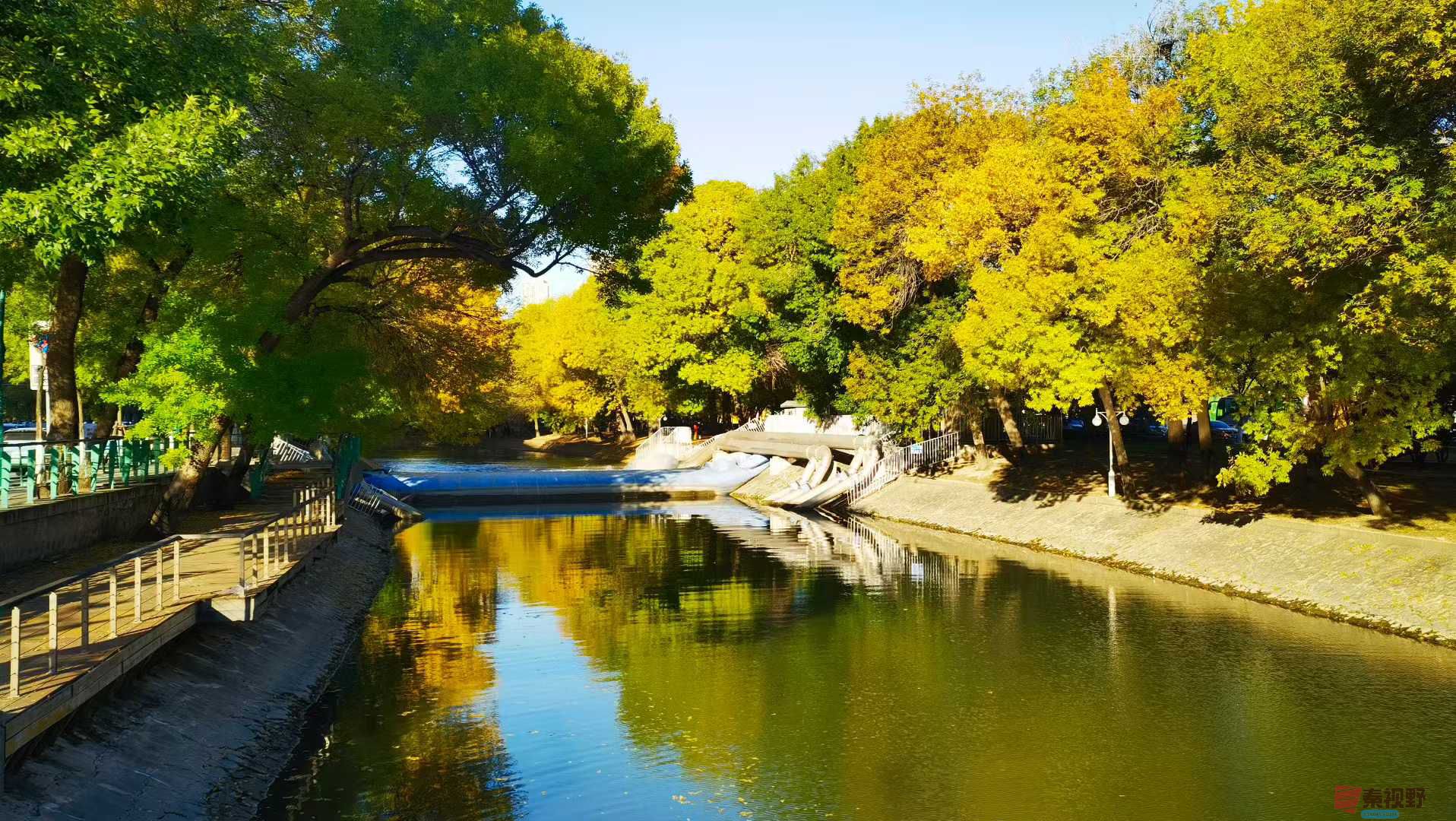 马世国_2025-10-27_155928_024 (1).jpg