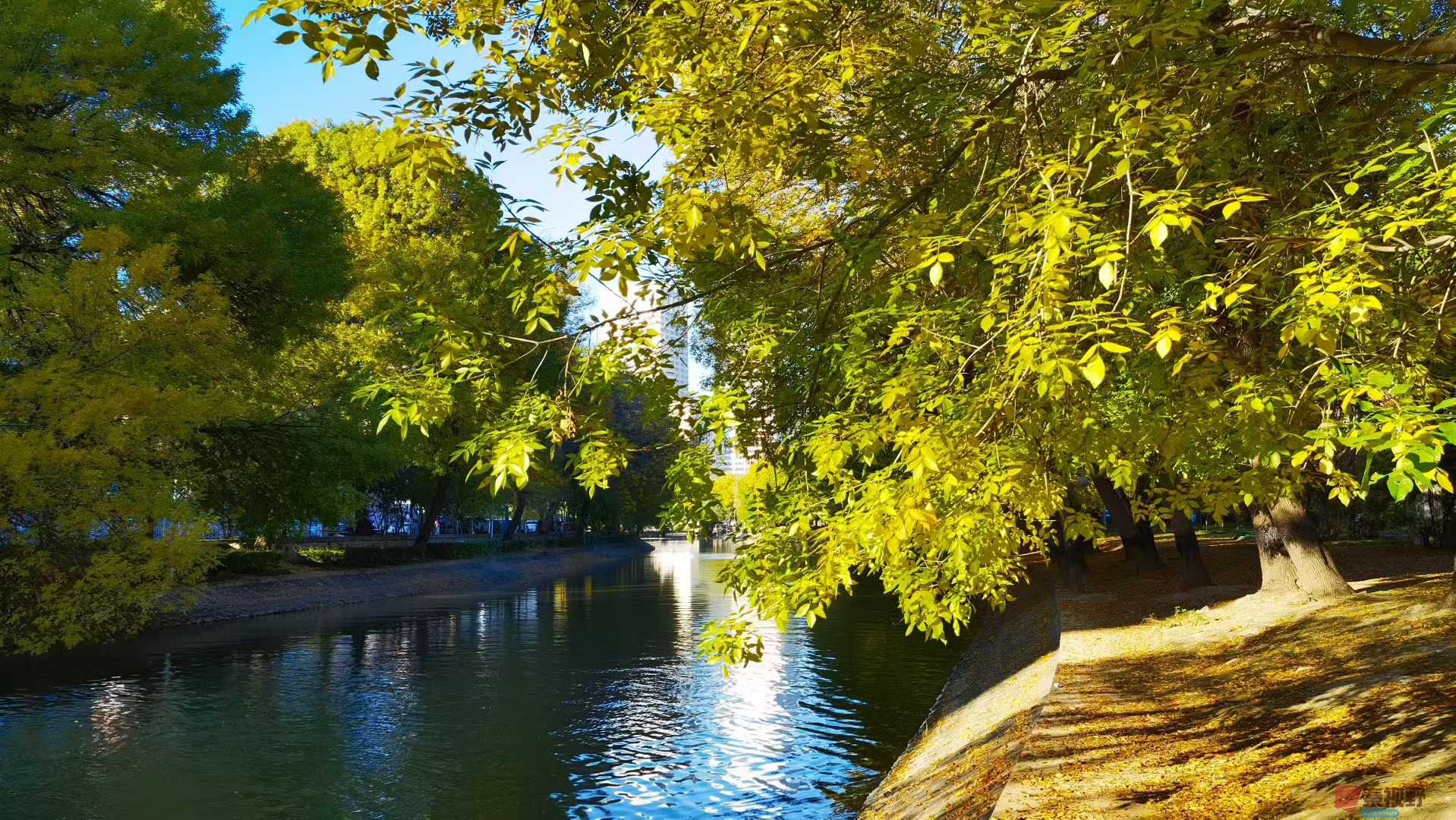 马世国_2025-10-27_155928_024 (2).jpg