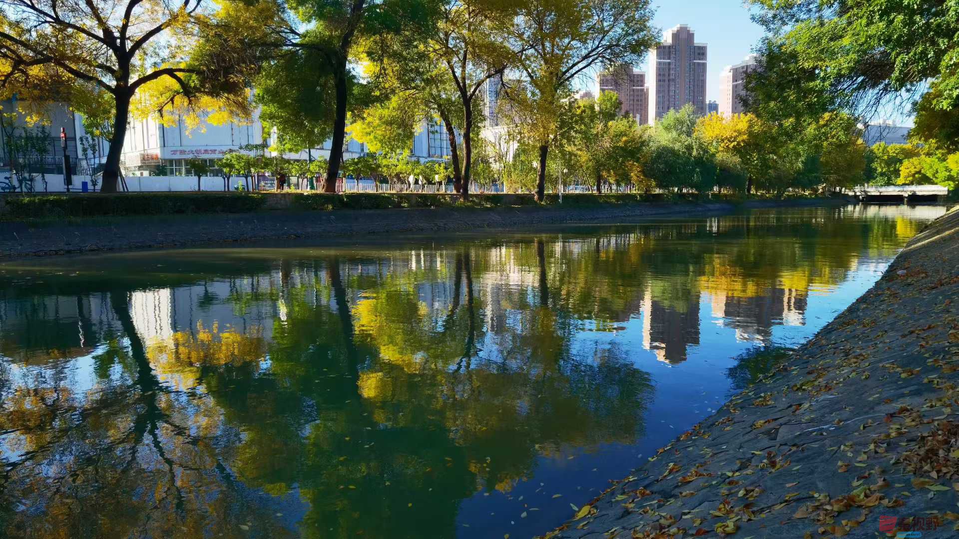 马世国_2025-10-27_155928_024 (4).jpg