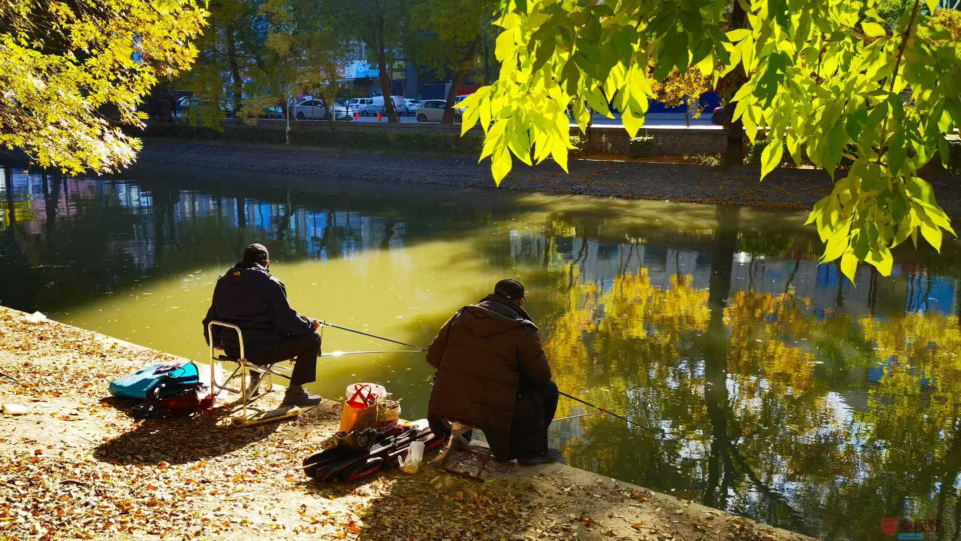 马世国_2025-10-27_155928_024 (6).jpg