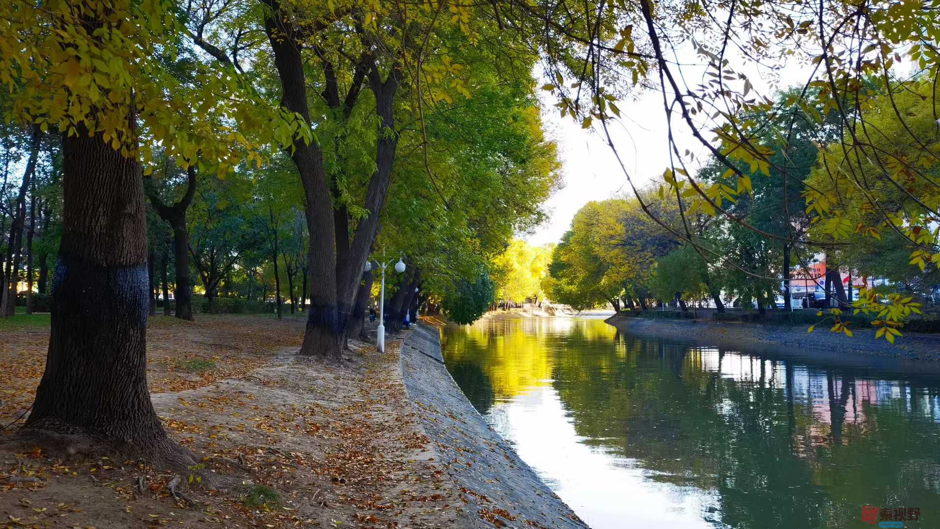 美景如画【摄影马世国】