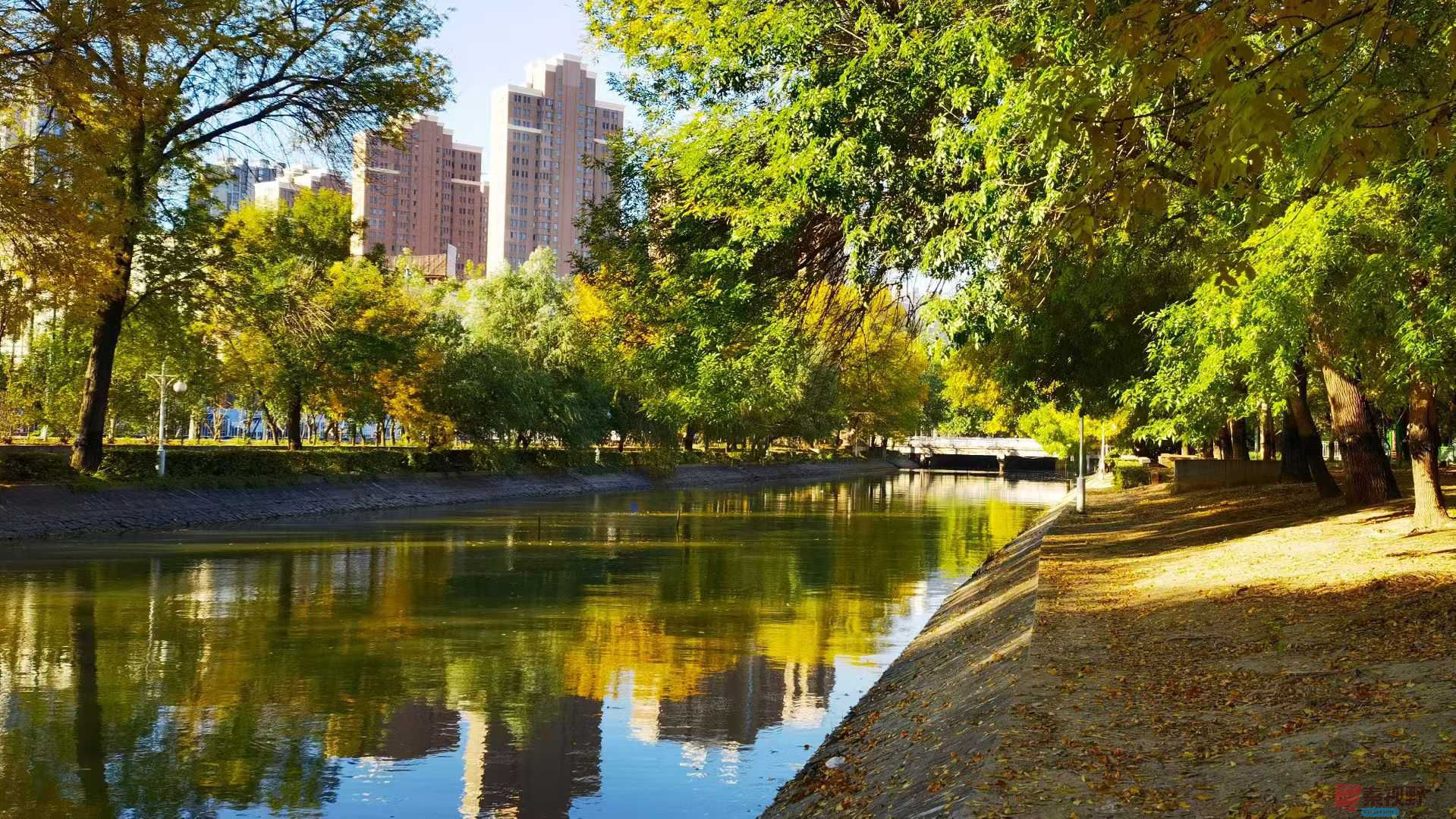 马世国_2025-10-27_155928_024 (8).jpg