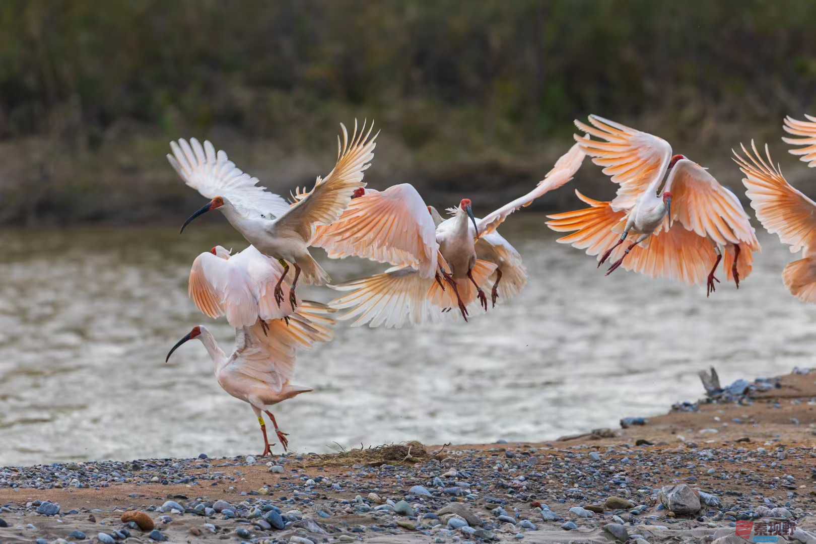 袁小保_2025-10-27_155824_076 (3).jpg