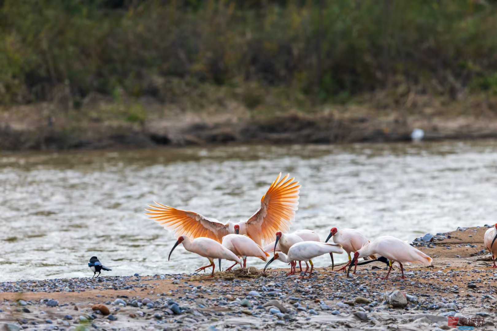 袁小保_2025-10-27_155824_076 (6).jpg