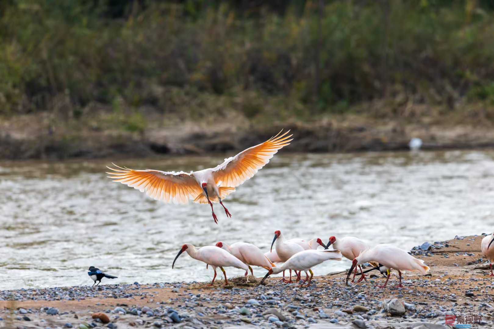 袁小保_2025-10-27_155824_076 (5).jpg