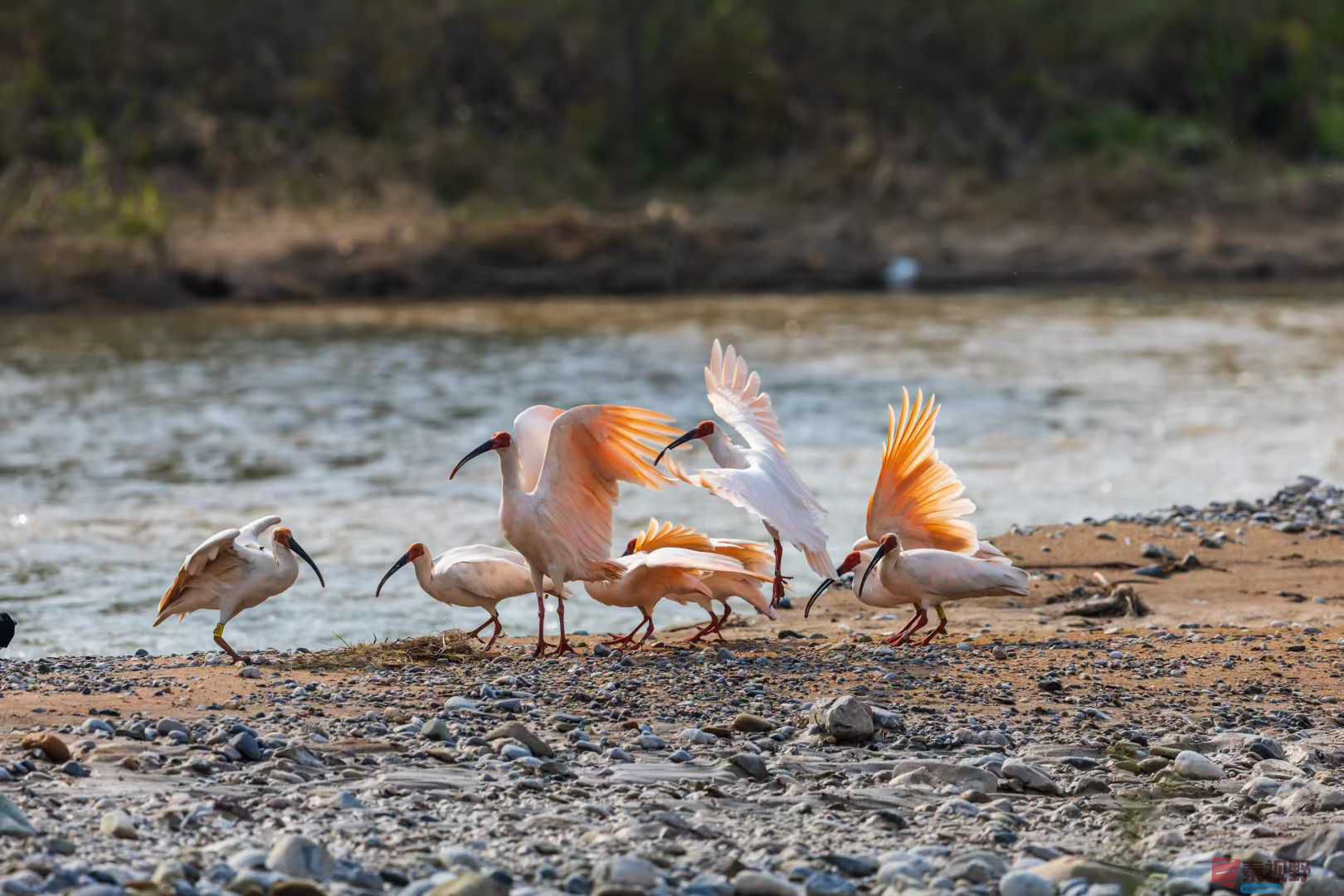 袁小保_2025-10-27_155824_076 (7).jpg