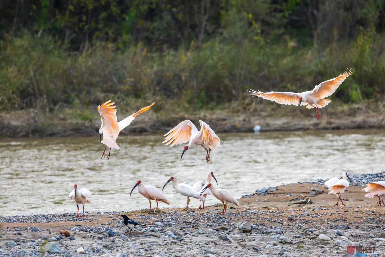 袁小保_2025-10-27_160550_589 (3).jpg