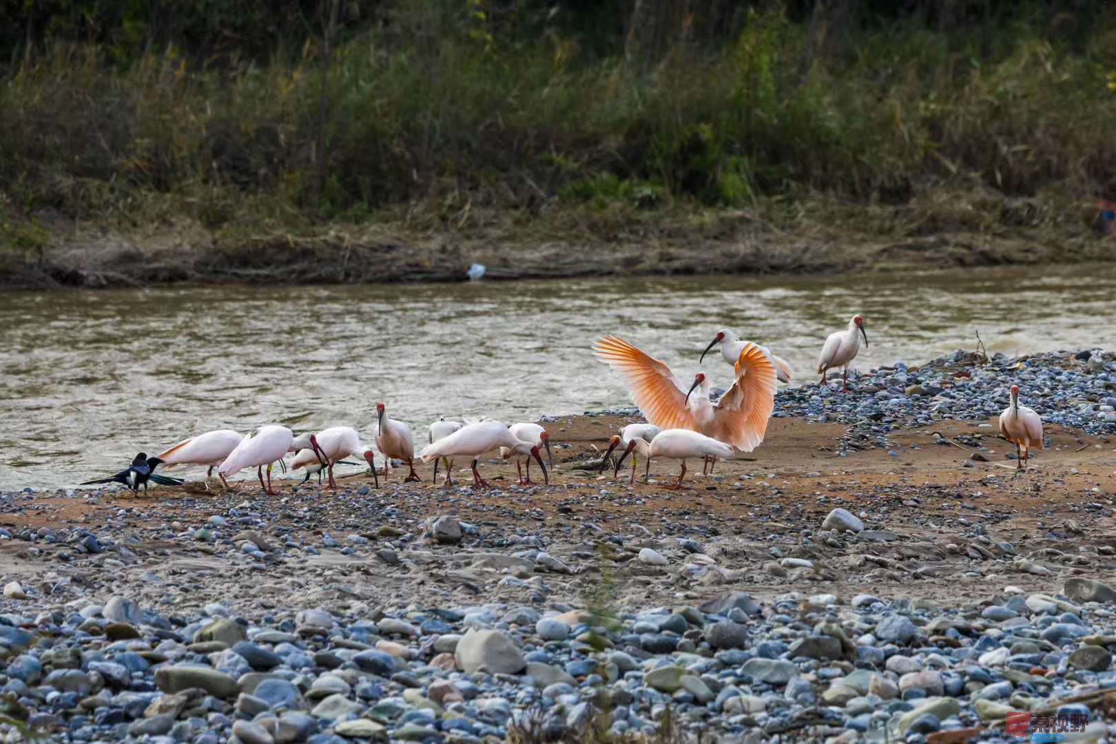 袁小保_2025-10-27_160550_589 (2).jpg