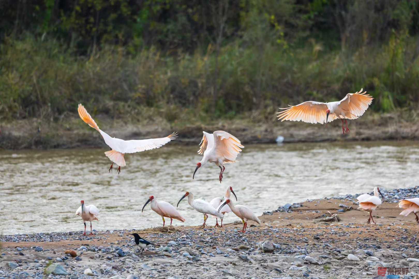 袁小保_2025-10-27_160550_589 (4).jpg