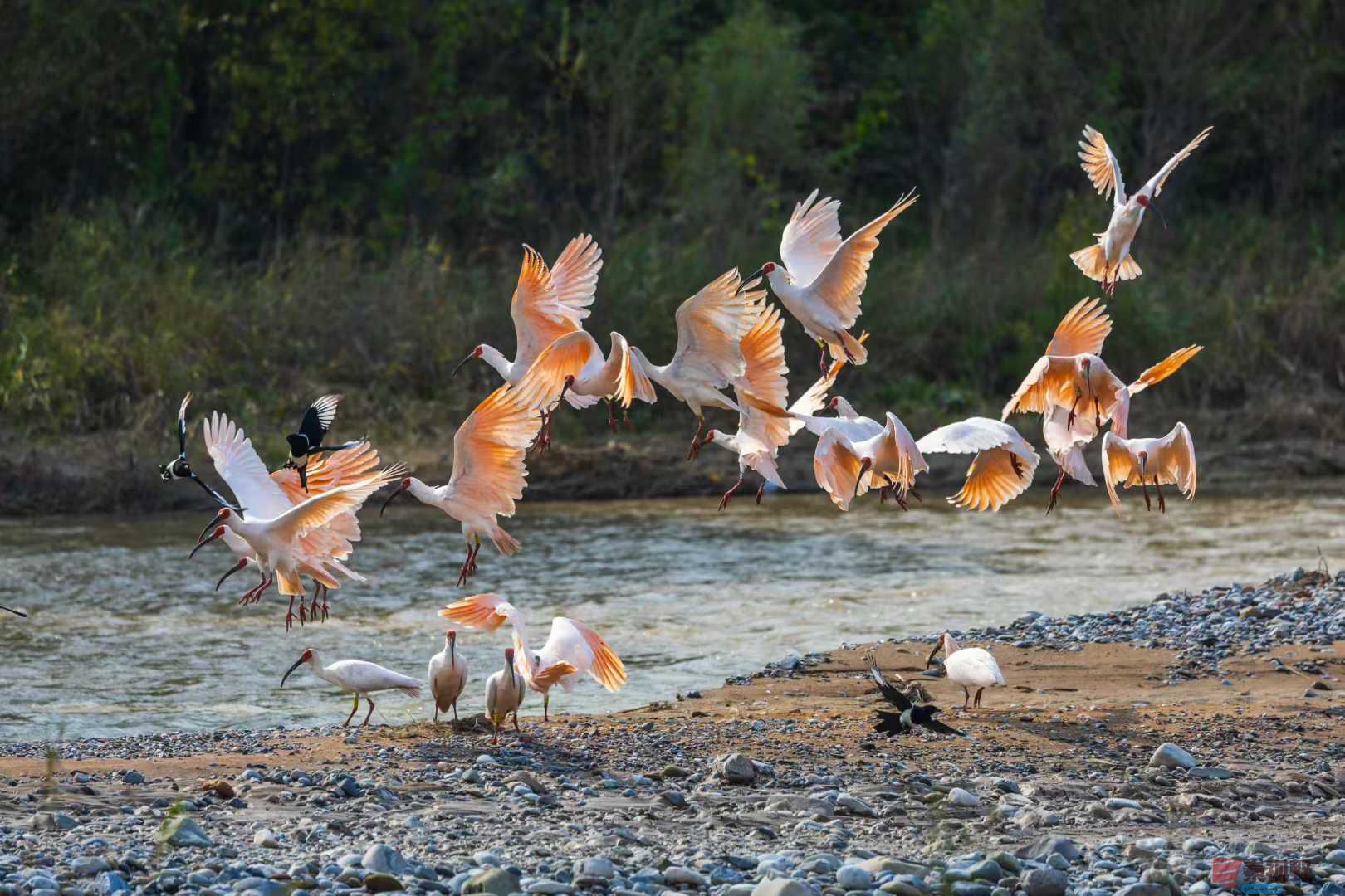 袁小保_2025-10-27_161245_267 (5).jpg