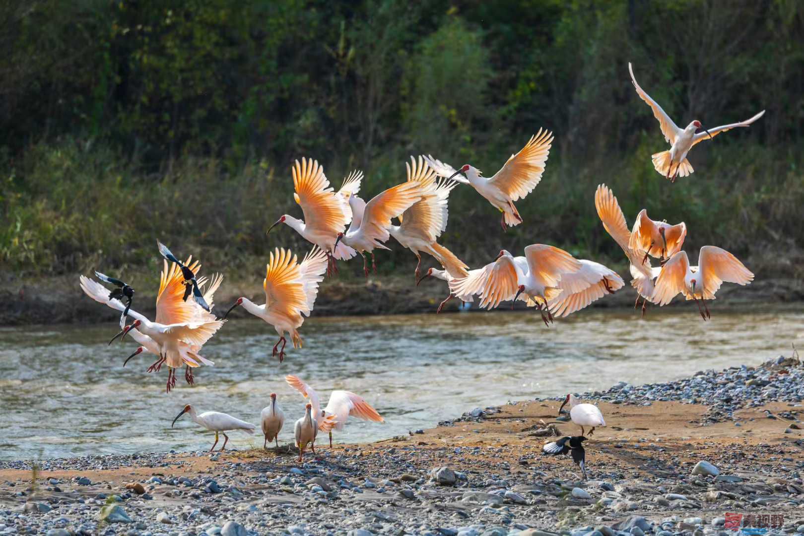 袁小保_2025-10-27_161245_267 (6).jpg