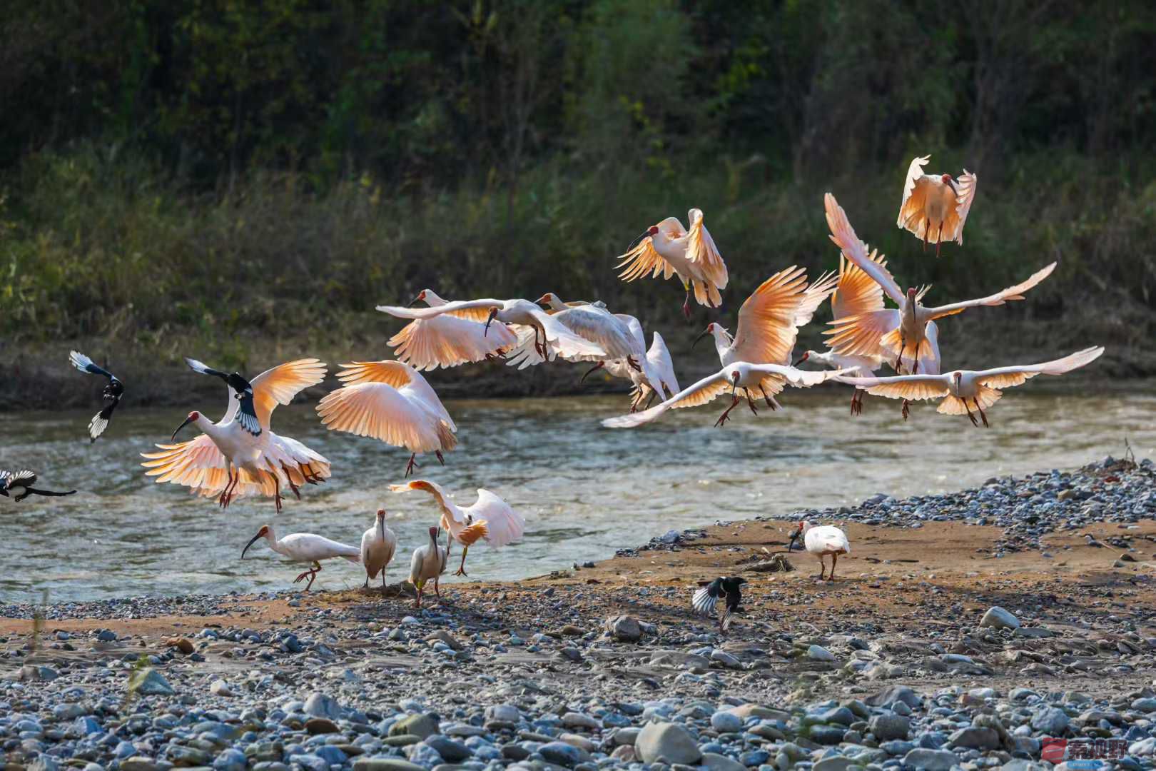 袁小保_2025-10-27_162355_681 (9).jpg