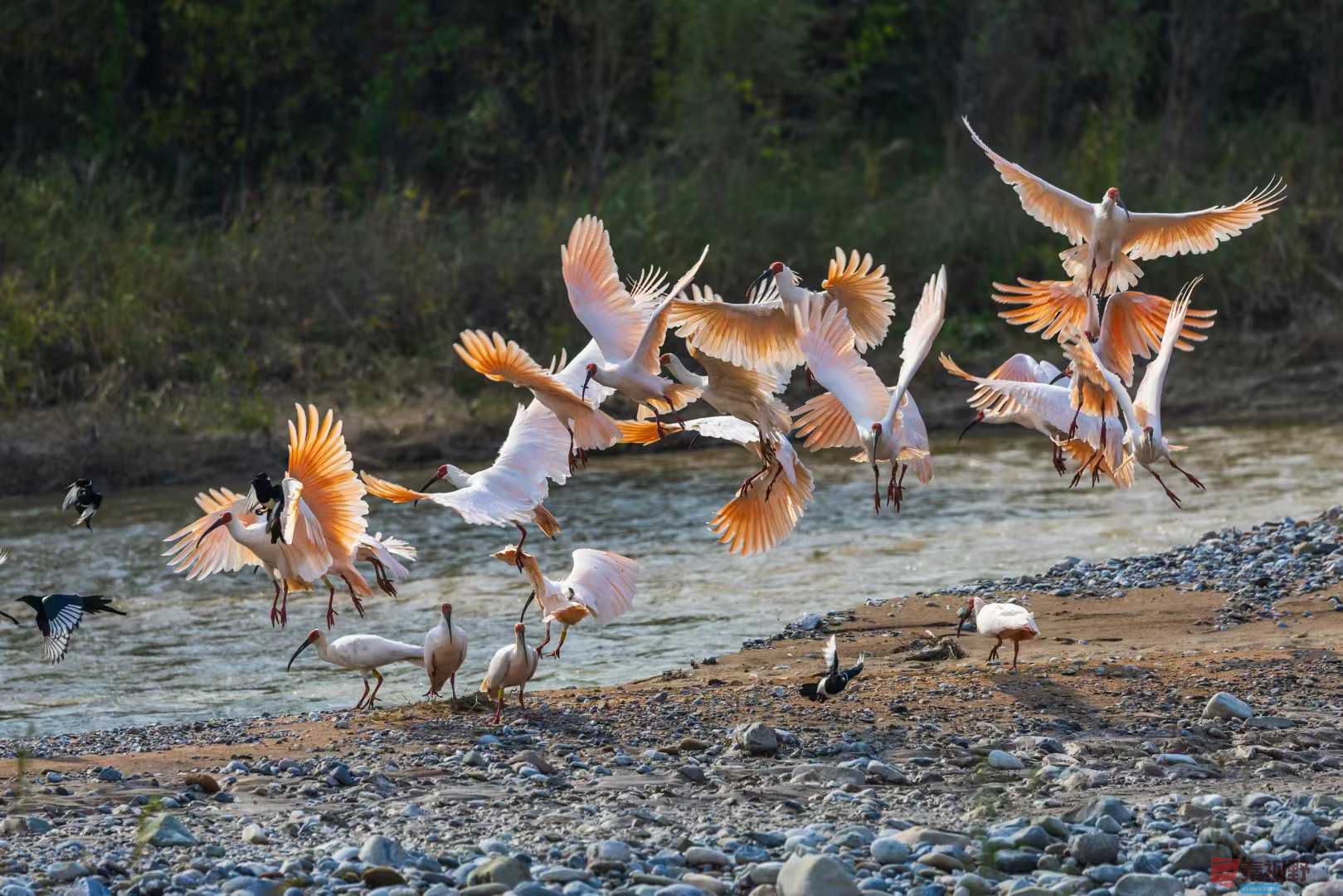 袁小保_2025-10-27_162355_681 (6).jpg