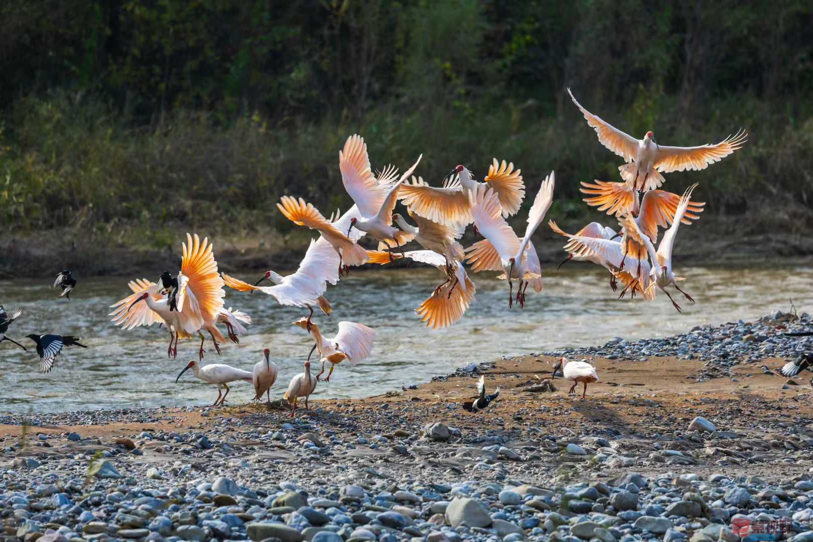 袁小保_2025-10-27_162355_681 (5).jpg