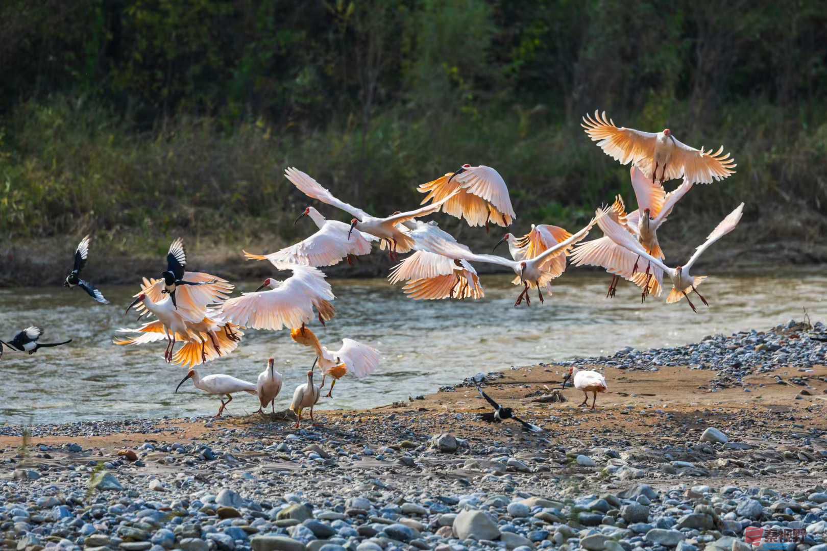 袁小保_2025-10-27_162355_681 (8).jpg