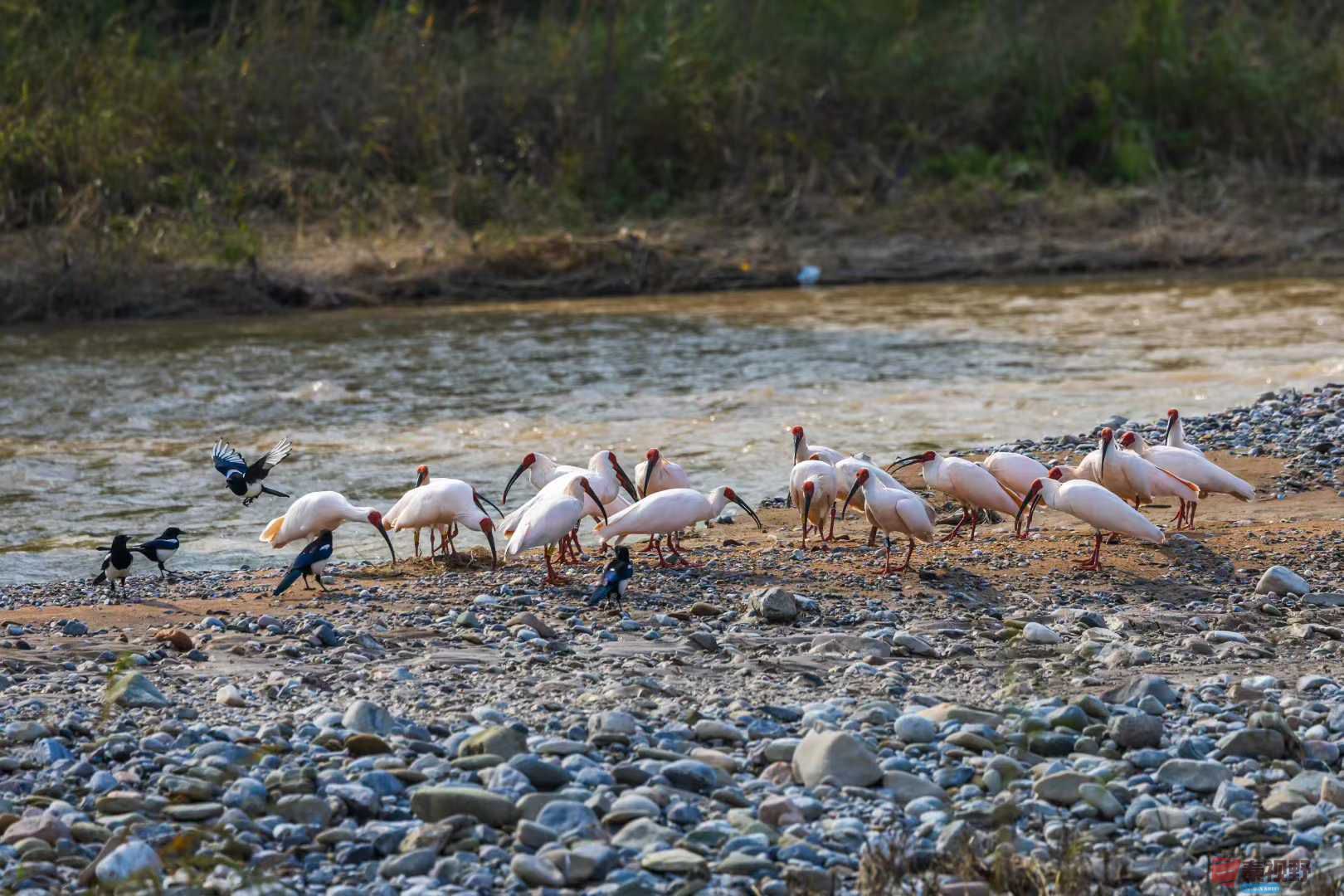 袁小保_2025-10-27_162526_851 (1).jpg