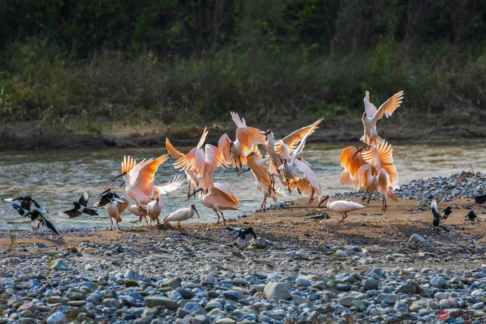 袁小保_2025-10-27_162526_851 (2).jpg